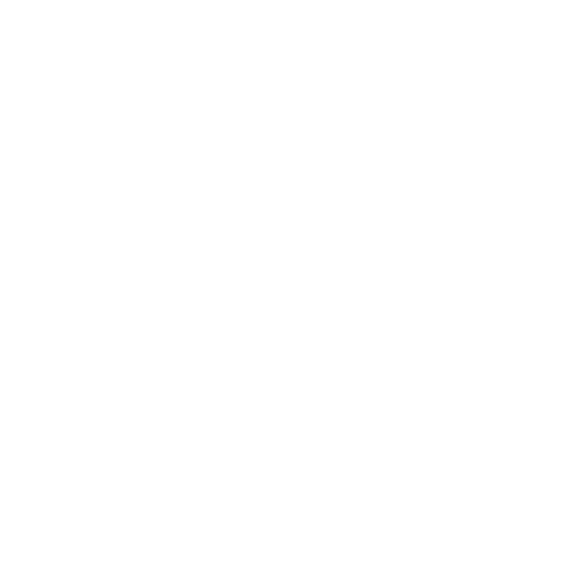 Nuralis Logo
